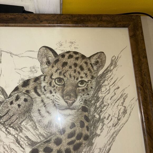 Framed Print Leopard Cub by Samara Seera 18.5 x 22.5” Big Cats African Safari - Picture 10 of 11